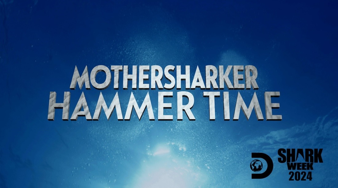 Mothersharker: Hammer Time artwork